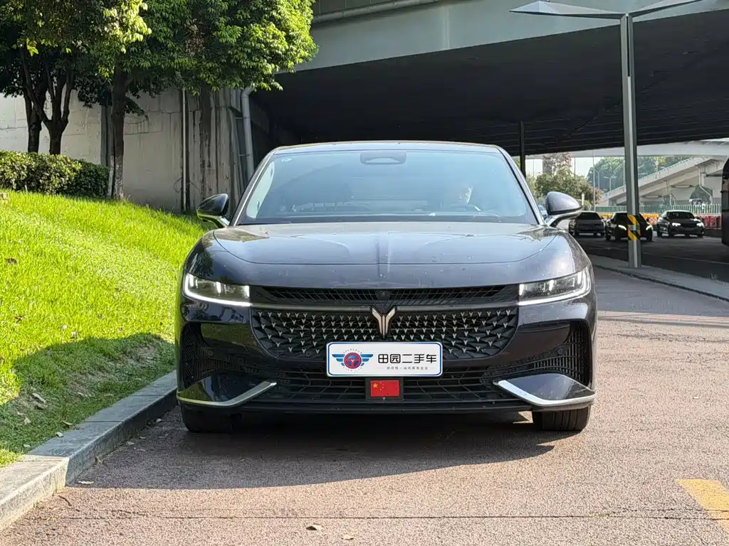 Voyah Passion 2024 2024 PHEV AWD Ultra-long Range Executive Edition