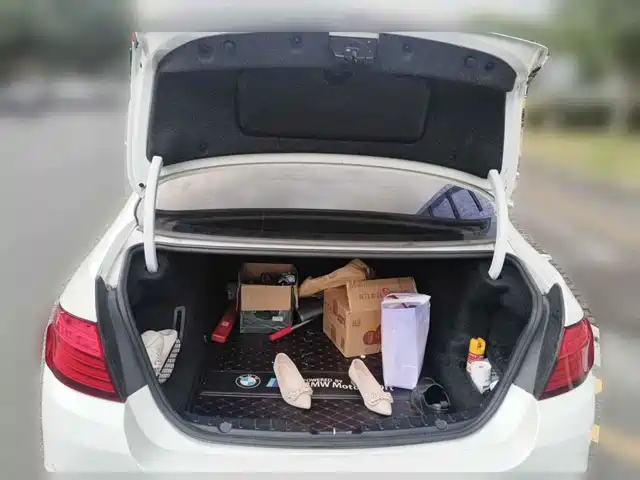 BMW 5 Series 2014 525Li Leading — фото 5