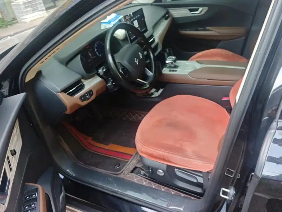 Hongqi E-QM5 2025 2024 Model 610km PLUS