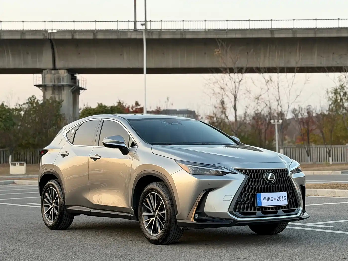 Lexus NX 2022 260 FWD Joy Creation Edition фото 2