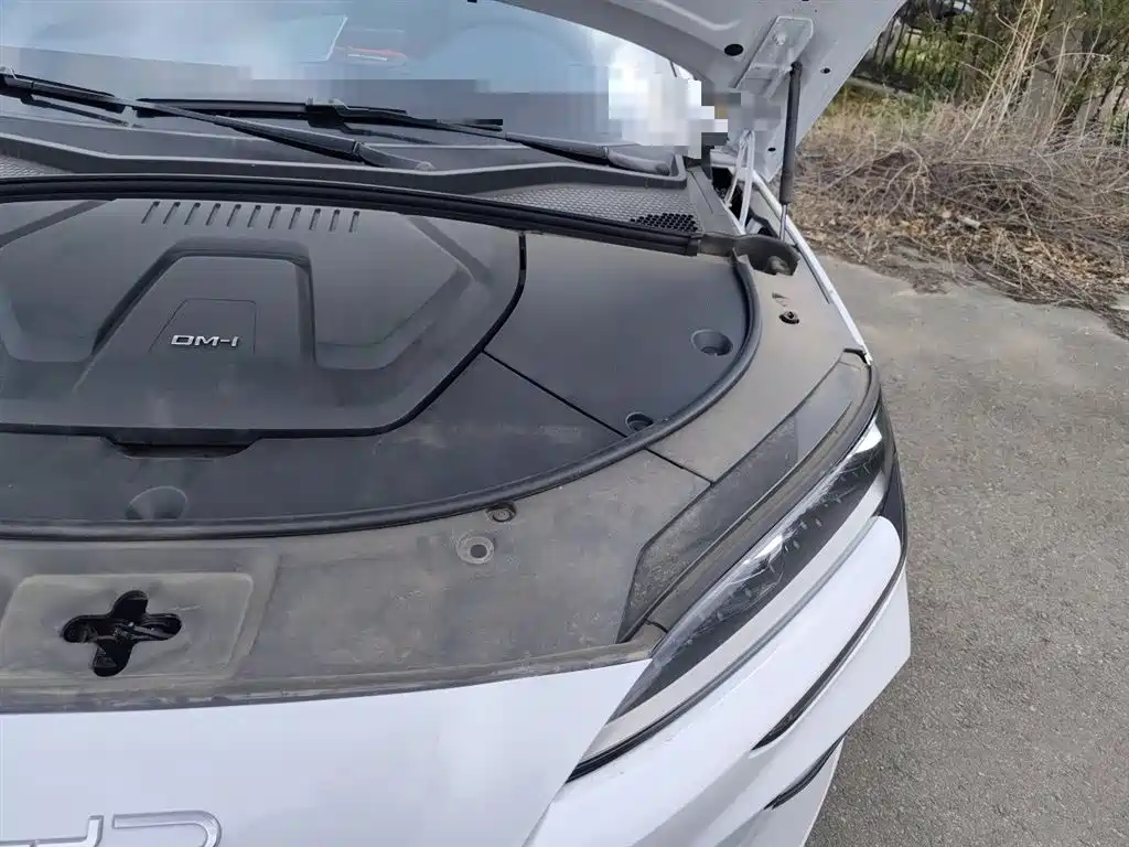 BYD Song PLUS PHEV 2024 Glory Edition DM-i 110km Flagship фото 22