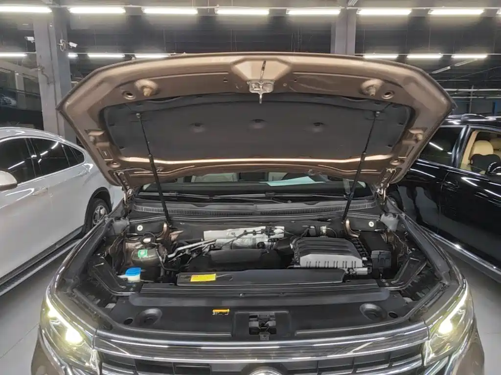 Volkswagen Viloran 2020 2020 380TSI Flagship Edition