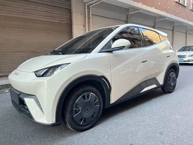 BYD Seagull 305km, Свобода