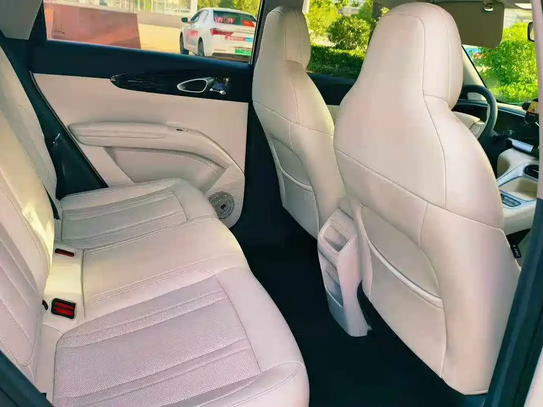 Geely Galaxy Starry Wish 2025 2025 310km Youth Edition