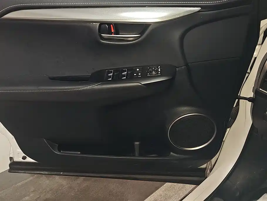 Lexus NX 2018 Model 300h FWD Fengshang Edition China V фото 7