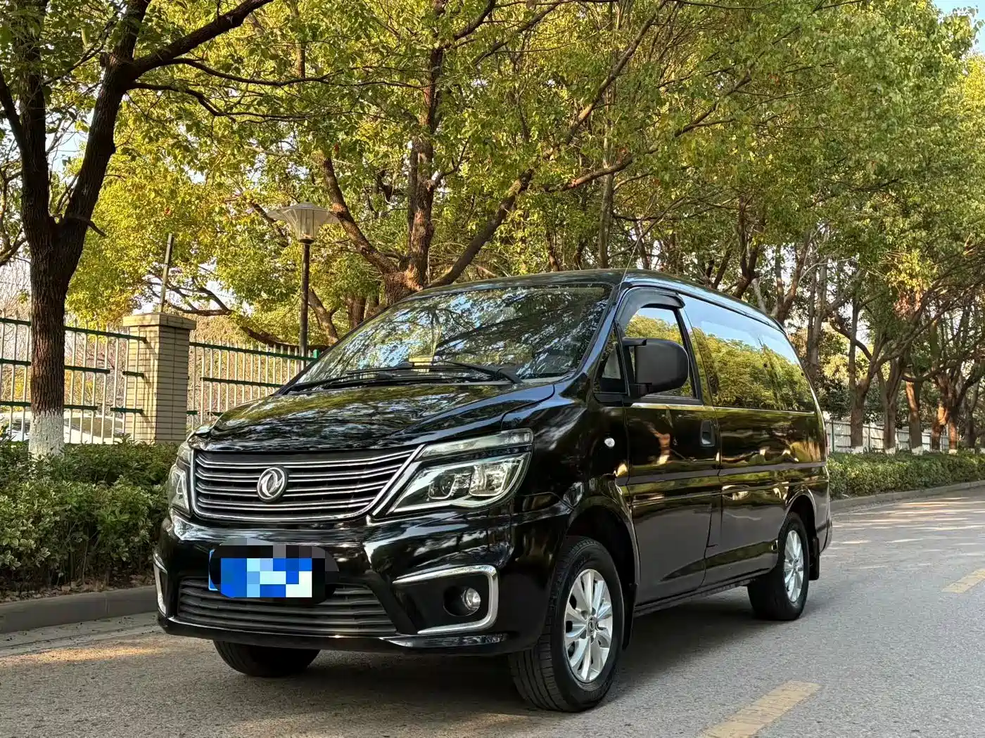 Фото 1 - Dongfeng Fengxing Lingzhi