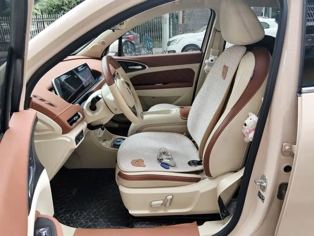 Ora Good Cat 2024 2023 401km Standard Range Luxury LFP
