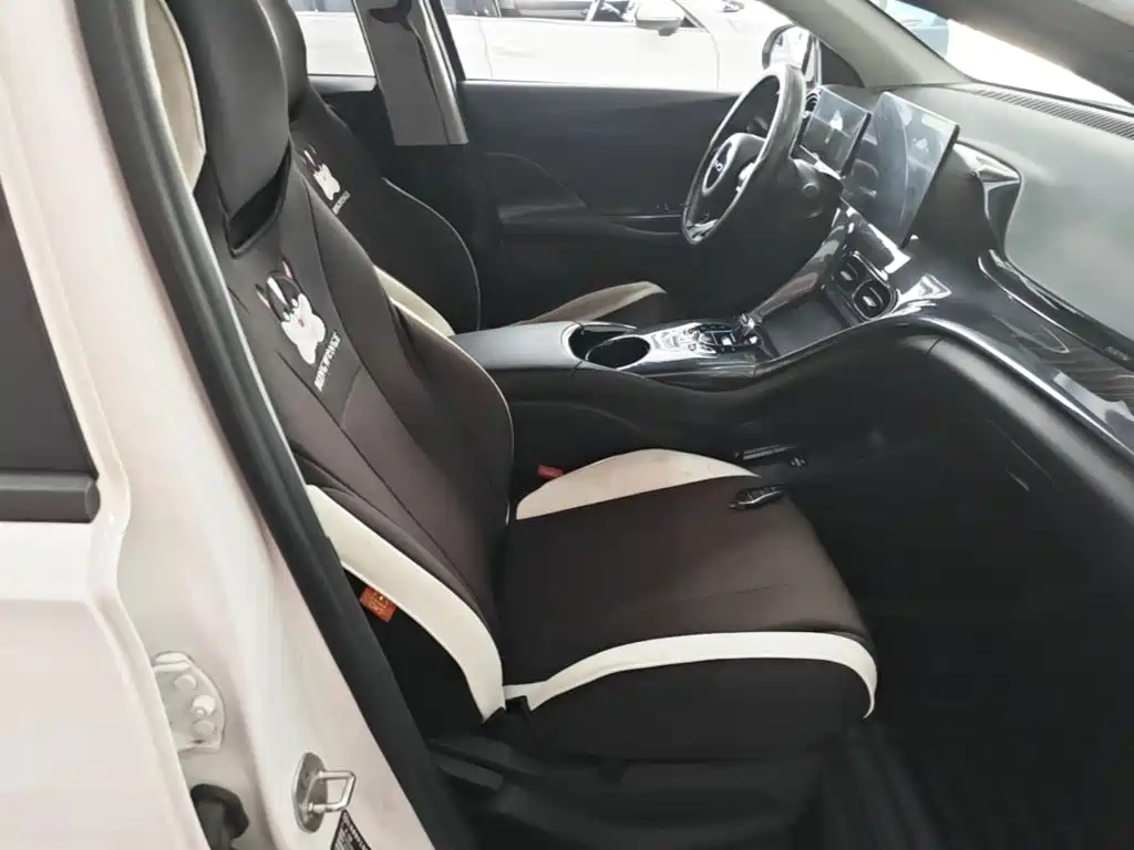 BYD e2 2024 2024 Honor Edition Comfort