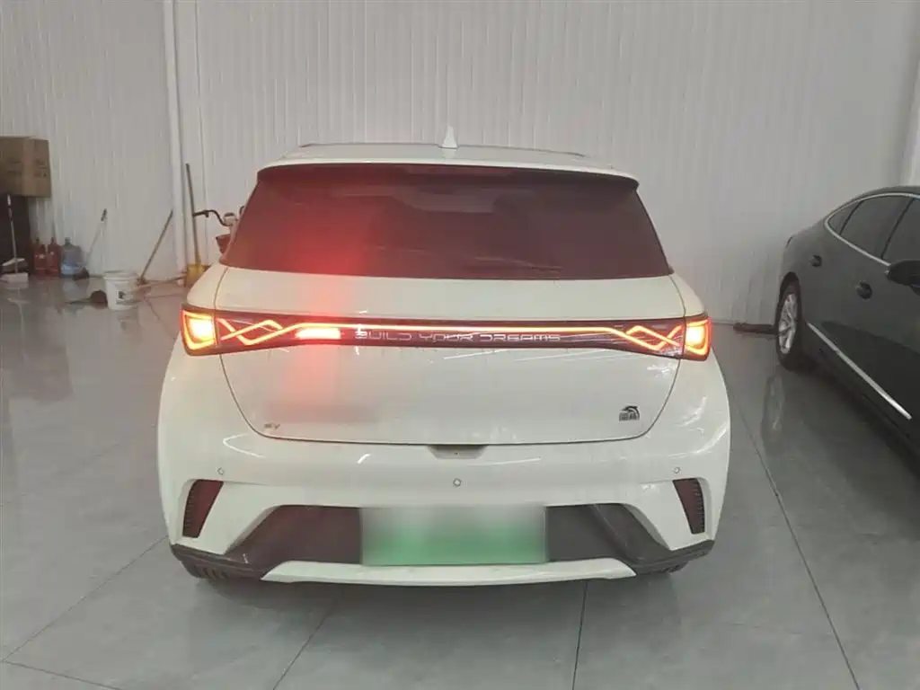 BYD Dolphin 2023 420km Fashion Edition фото 6