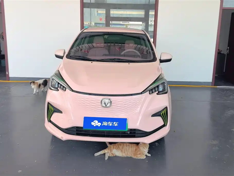 CHANGAN BENBEN E STAR