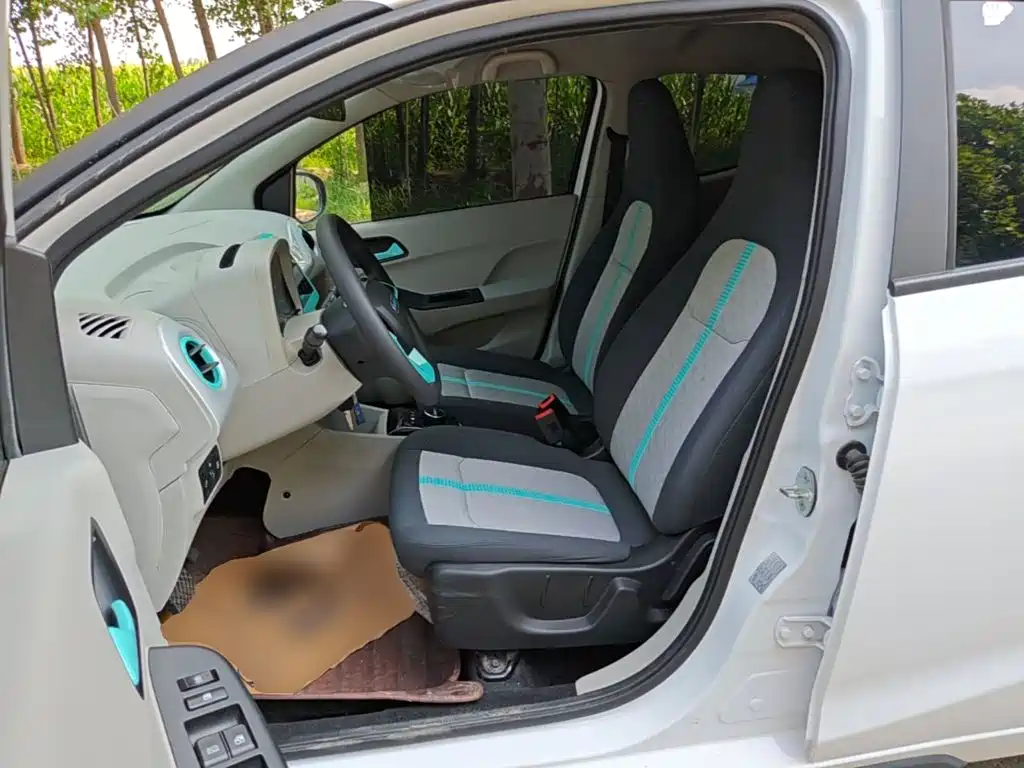 JMCG New Energy Little Kirin 2025 2024 201km Comfort Model