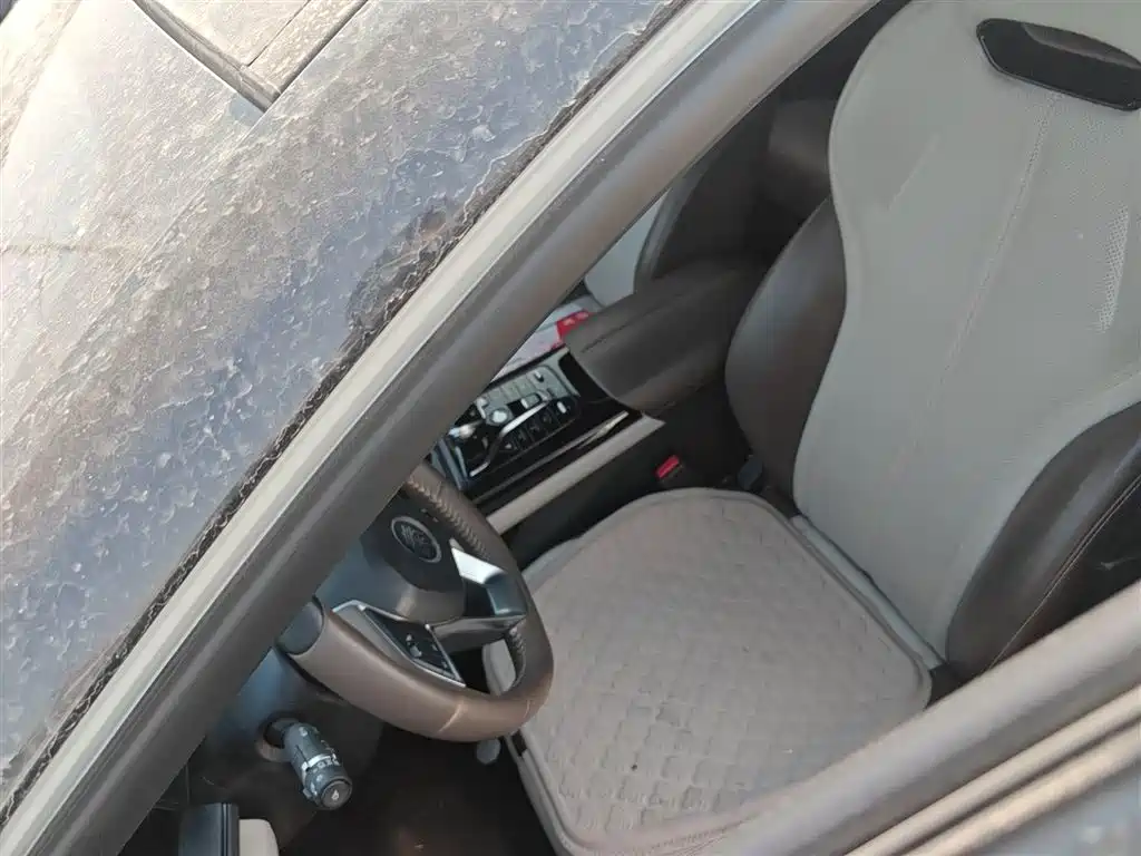 BYD Qin PLUS 2024 Glory Edition DM-i 55KM Leading фото 11