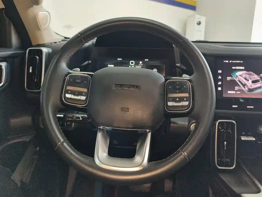 Photo 15 - Haval Big Dog