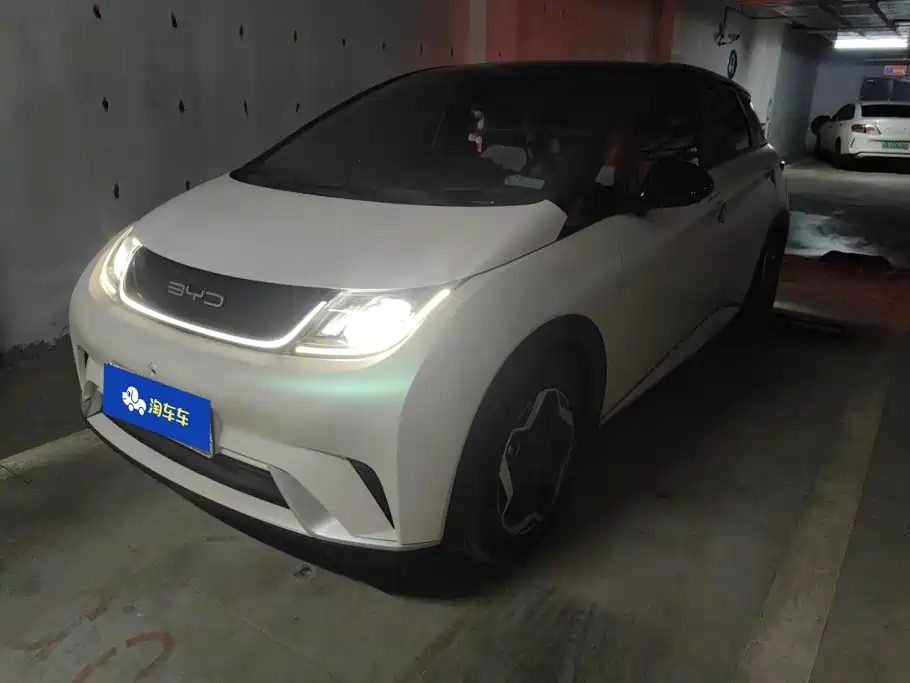 BYD Dolphin 2021 2021 Model 405km Fashion Edition