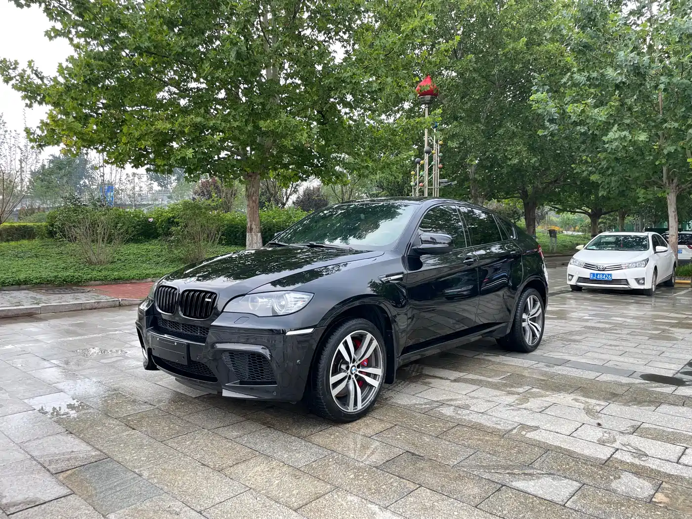 BMW X6 M 2013 X6 M