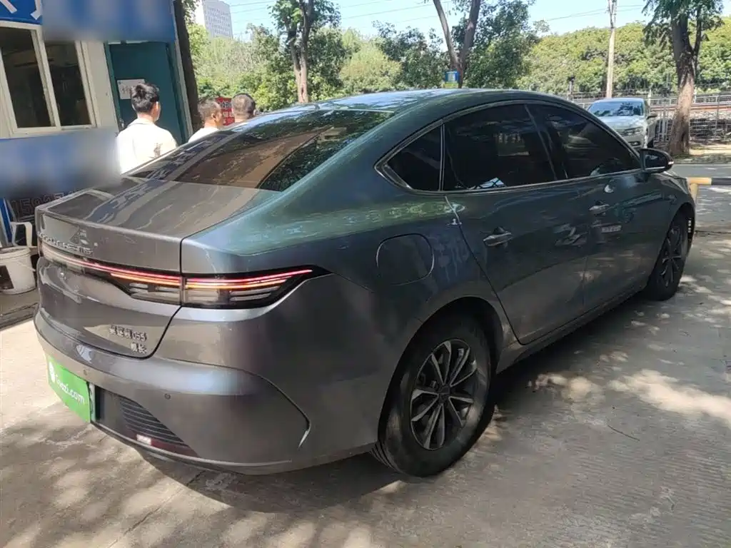 BYD Destroyer 05 2024 Glory Edition DM-i 55KM Luxury фото 7