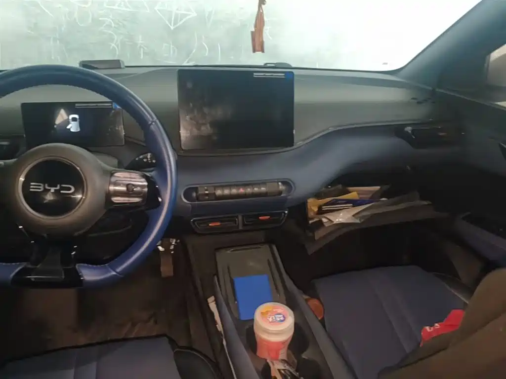 BYD Seagull 2023 Freedom Edition фото 13