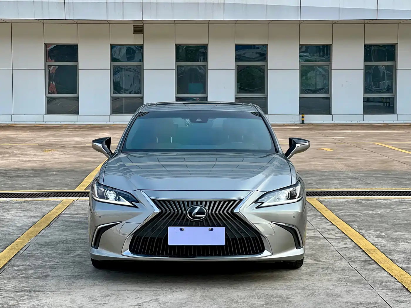 Lexus ES 2018 260 Excellence Edition China V фото 8
