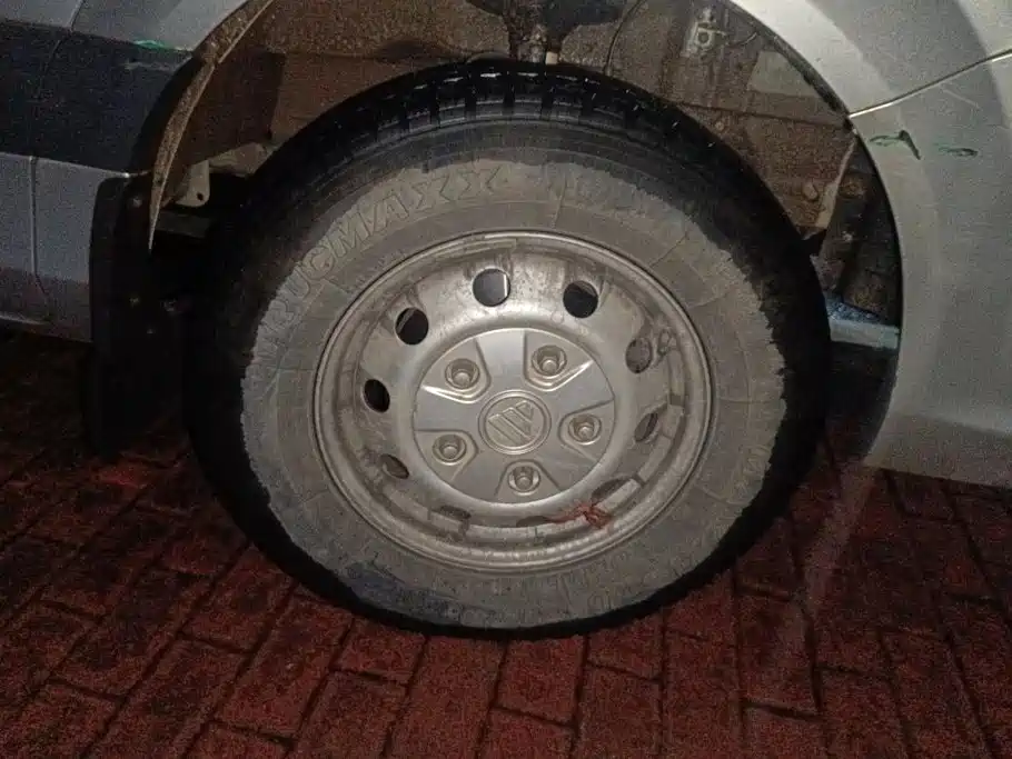 Photo 6 - Foton Tuyano