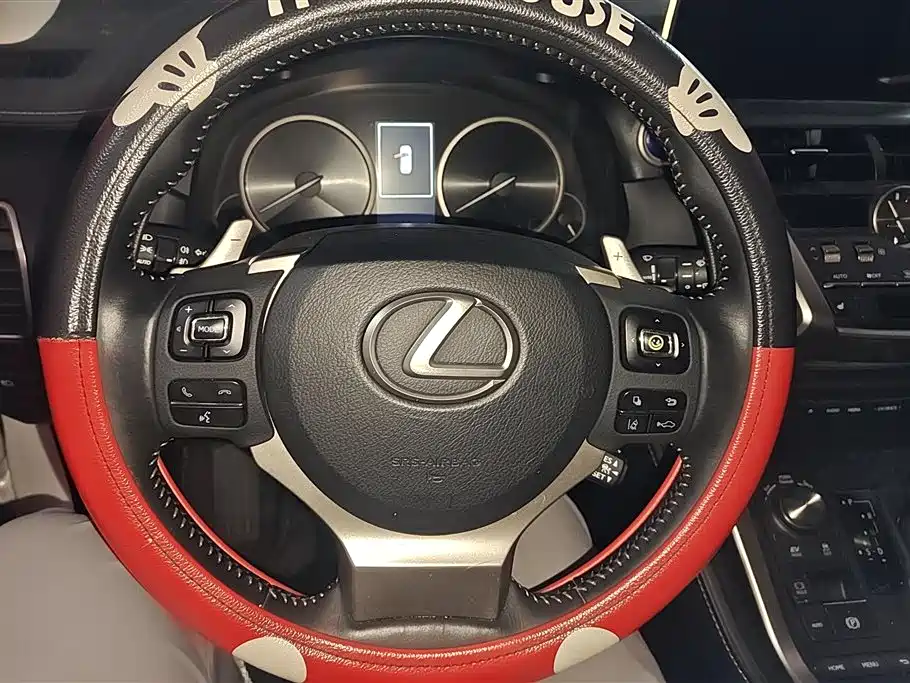 Lexus NX 2018 Model 300h FWD Fengshang Edition China V фото 15