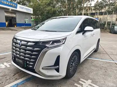 Denza D9