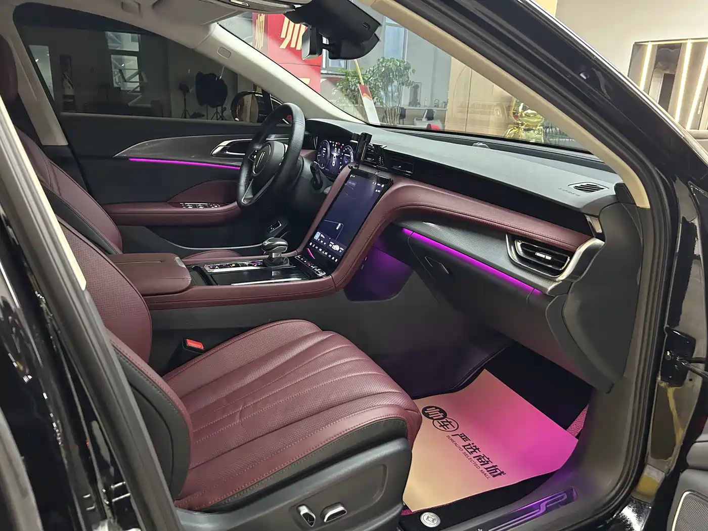 Hongqi H5 2023 2.0T Auto Smart Connect Flag Comfort фото 11