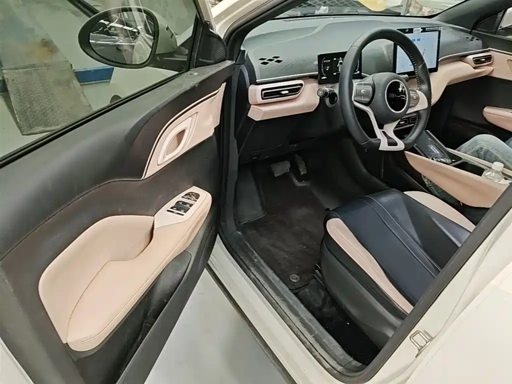 BYD Seagull 2023 Freedom Edition фото 16