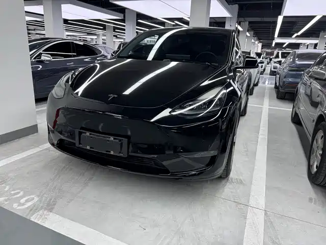 Tesla Model Y Стандартный запас хода, задний привод