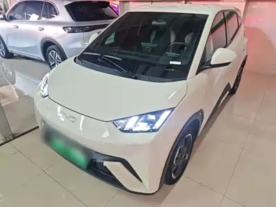 BYD Seagull