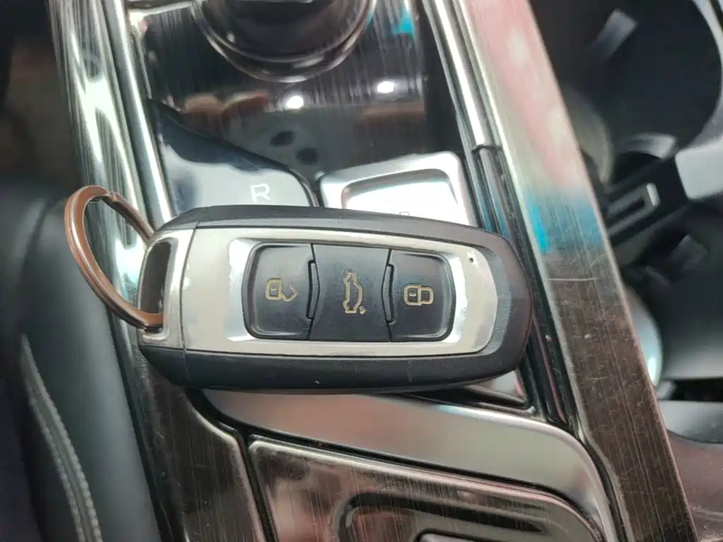 Photo 9 - Geely Borui