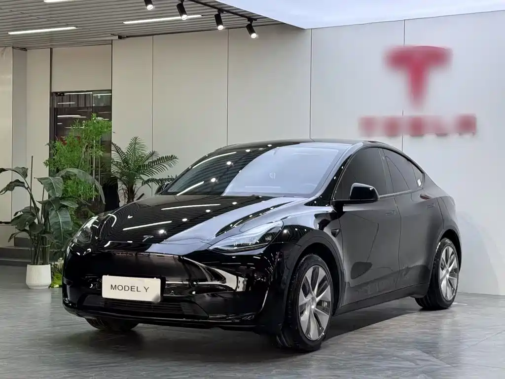 Tesla Model Y 2022 Rear-Wheel Drive Version