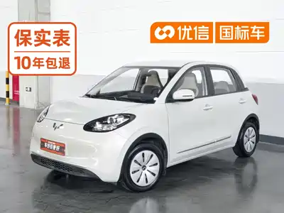 Wuling Bingo