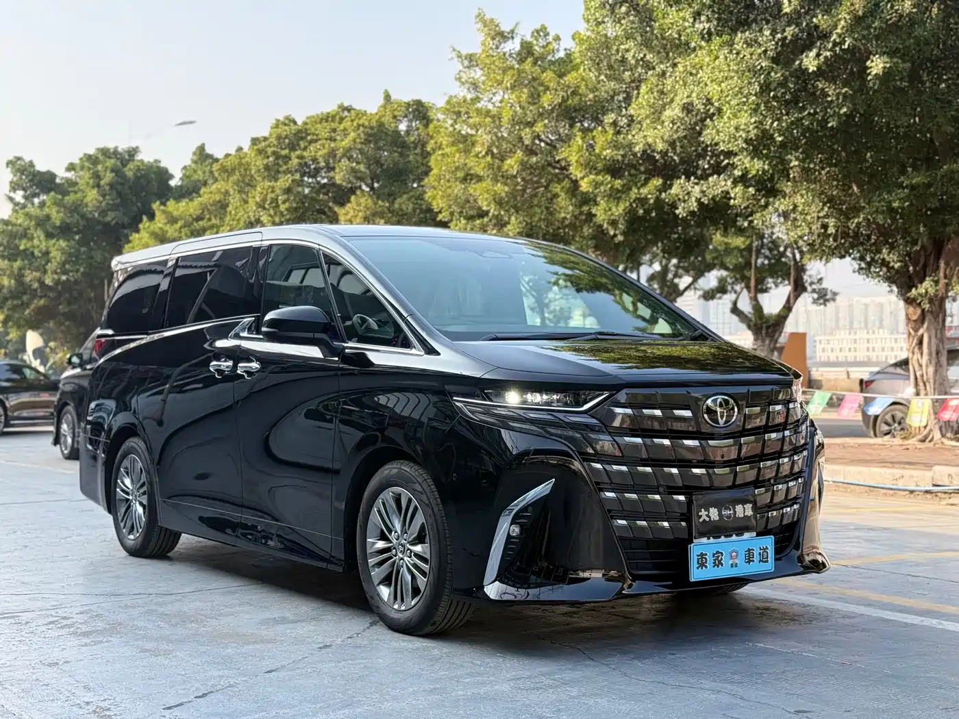 Toyota Alphard 2025 Hybrid 2.5L Ultimate Gold Edition фото 3