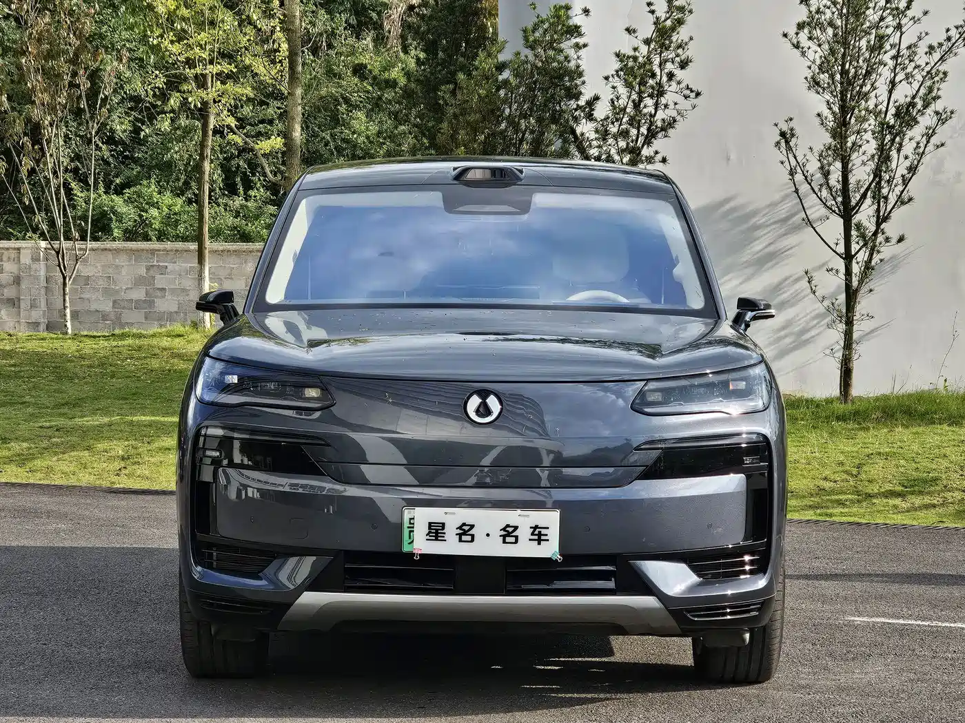 Denza N9 2025 2025 Flagship Model