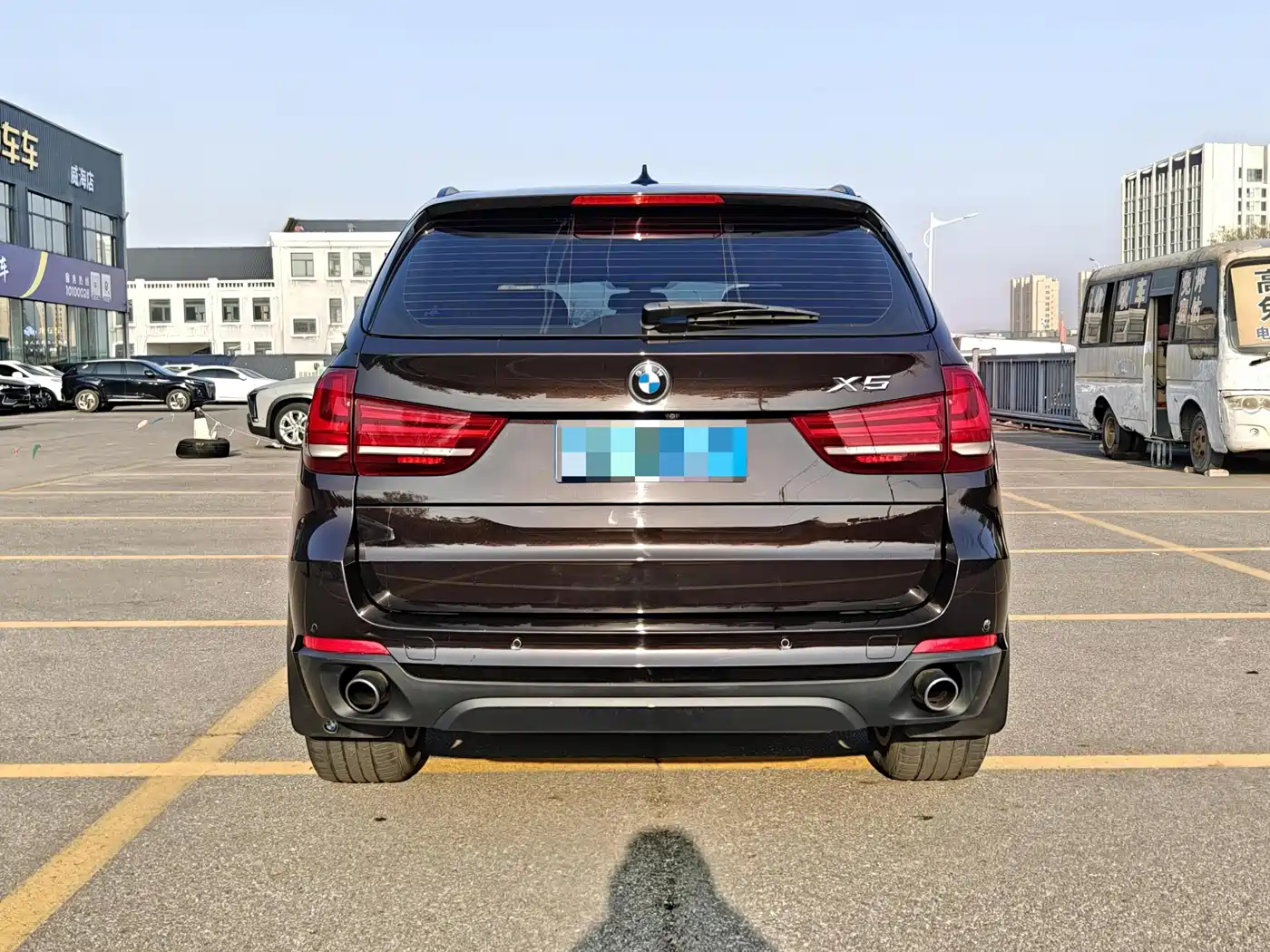 BMW X5 (Import) 2014 xDrive35i Elegance фото 5