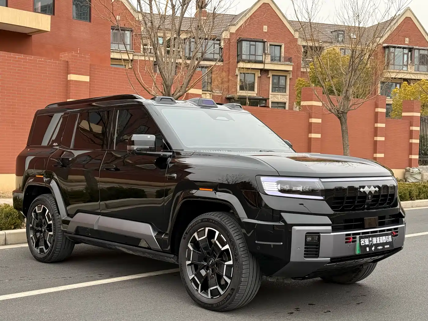 FANG CHENG BAO LEOPARD 8