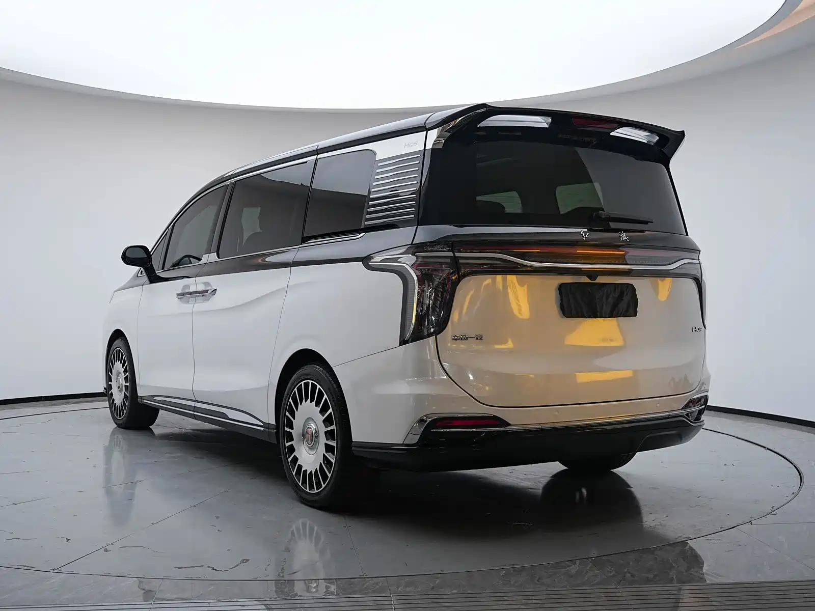Фото 25 - Hongqi HQ9