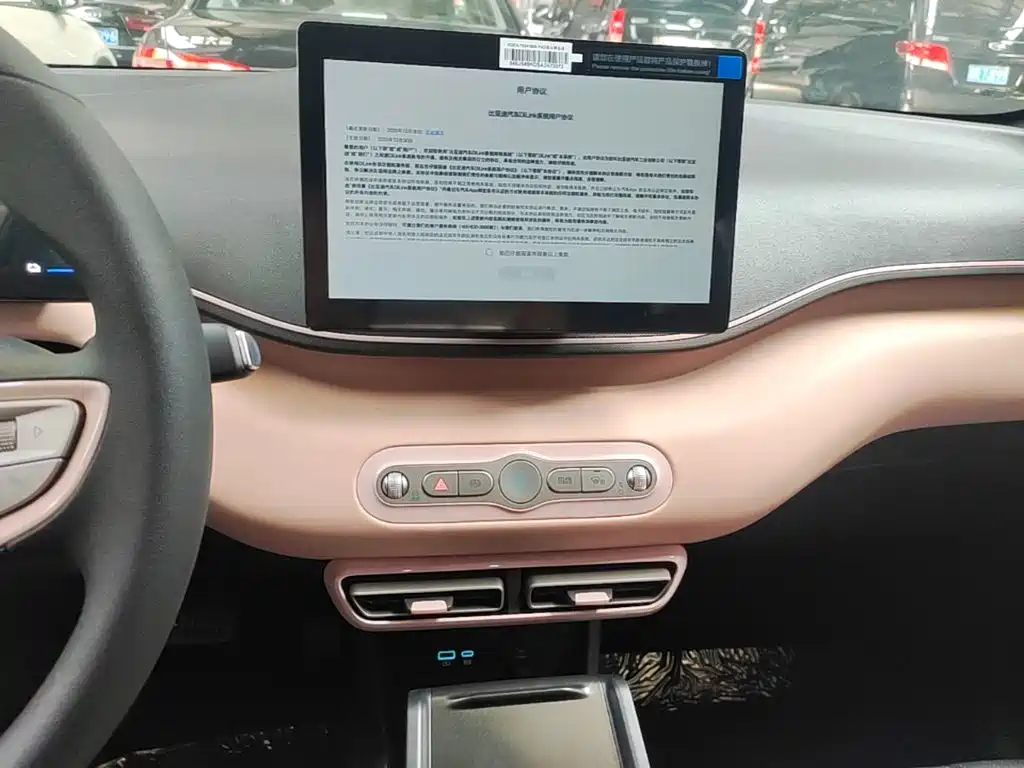 BYD Seagull 2026 2025 Smart Drive Edition 305km Vitality Version