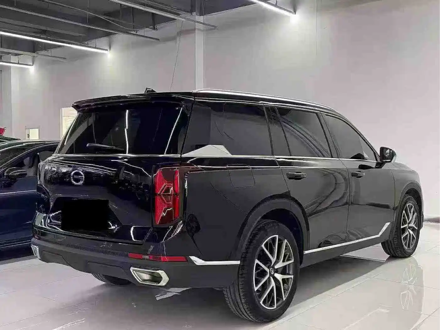 GAC Trumpchi Trumpchi GS8 2025 2025 Pilot Series 2.0TGDI 2WD Luxury Edition 5-seater