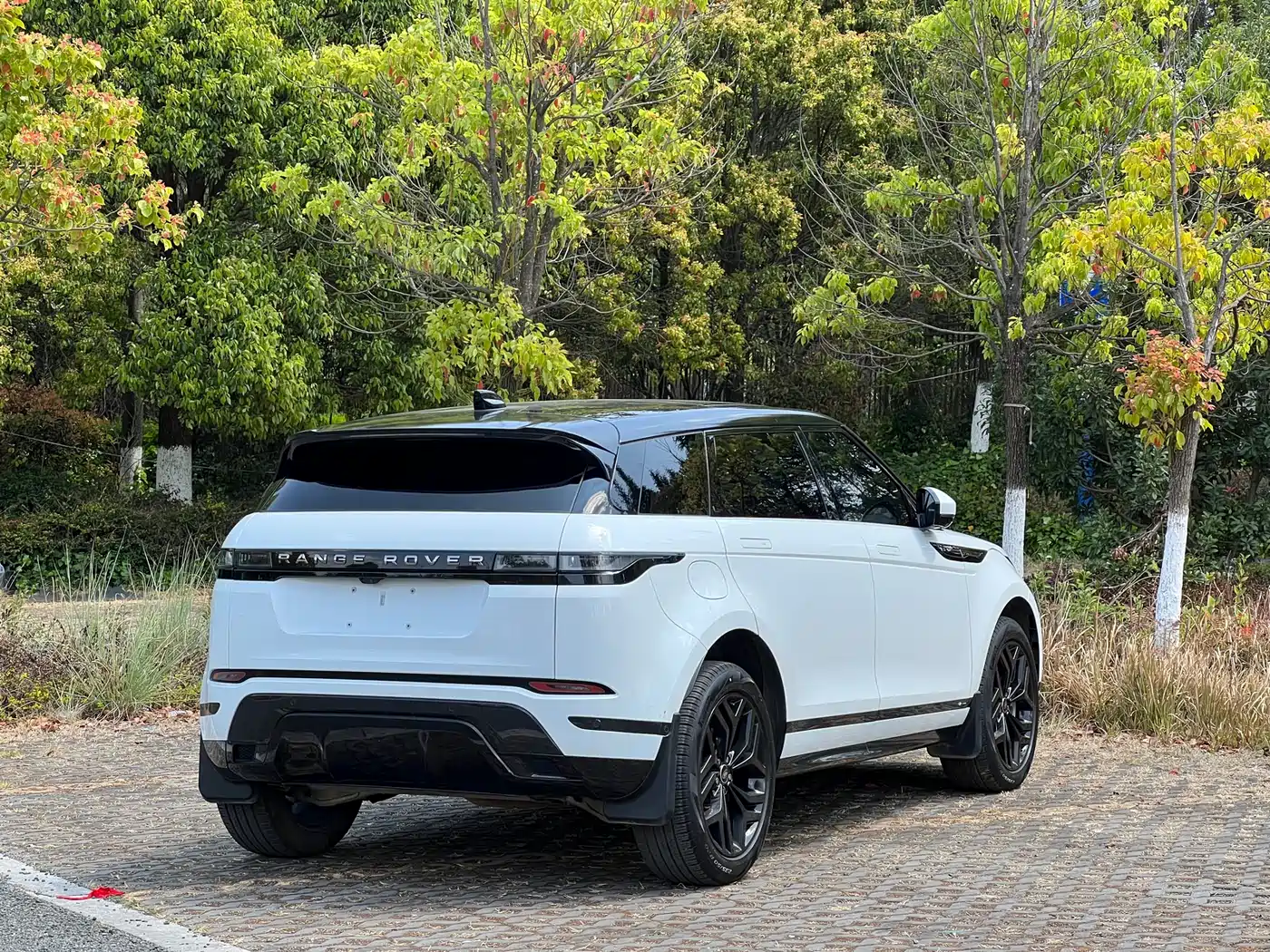 Land Rover Range Rover Evoque 2022 Range Rover Evoque L 249PS R-Dynamic Luxury Edition фото 18