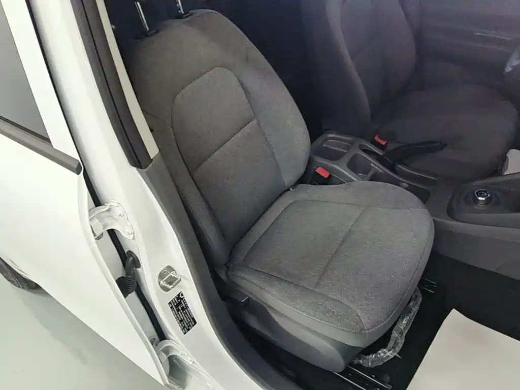 Wuling Motors Wuling Hongguang New Energy 2026 2024 Pure Electric 300KM Standard