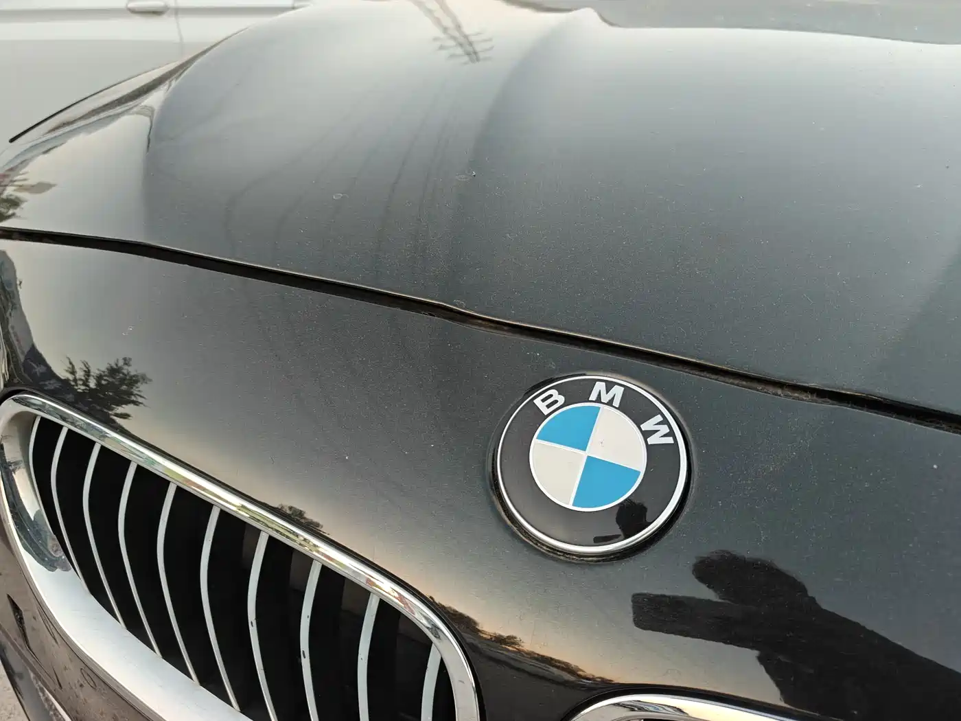 BMW 5 Series 2014 520Li Elegance фото 15
