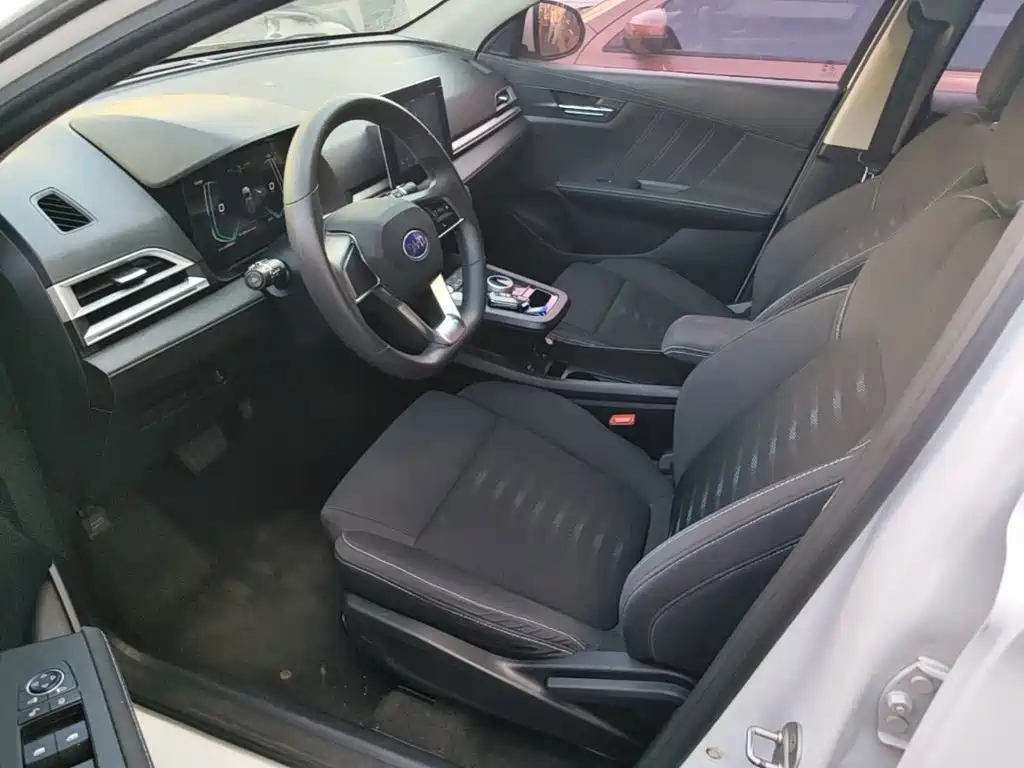 BYD e2 2020 2019 Standard Range Yue·Standard Model