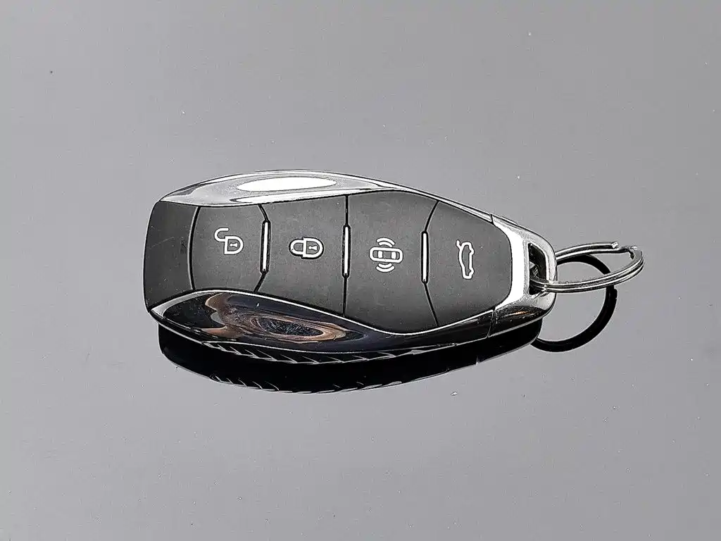 Photo 19 - Hongqi HS5