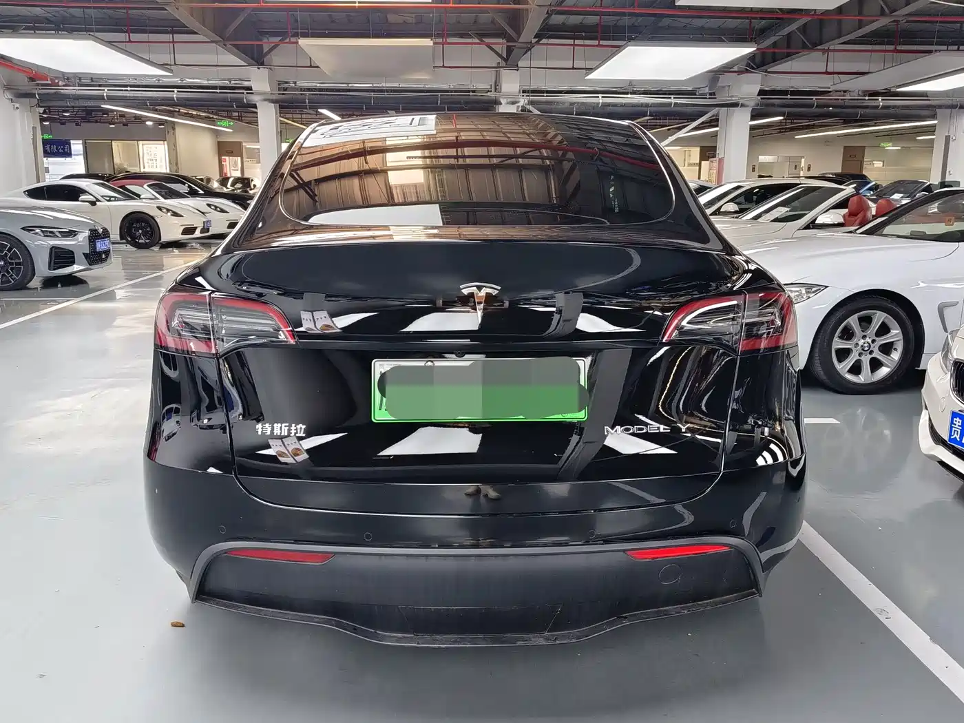 TESLA MODEL Y