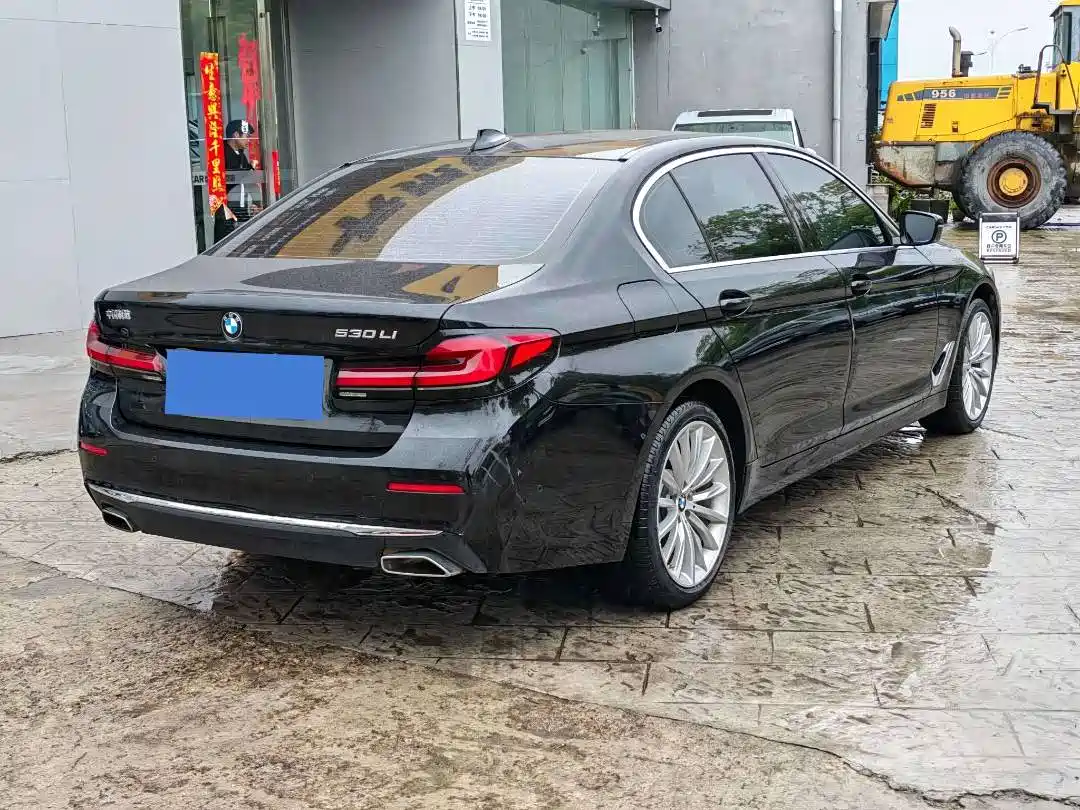 BMW 5 Series 2021 530Li Premium Luxury Package фото 9