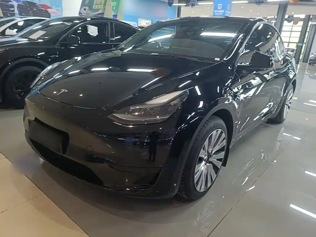 Tesla Model Y 2022 Rear-Wheel Drive Version
