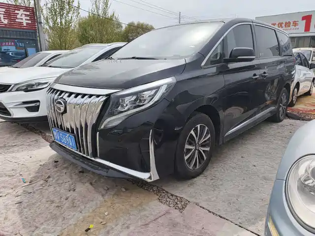 Trumpchi M8 Elegance Series, 390T, Люкс