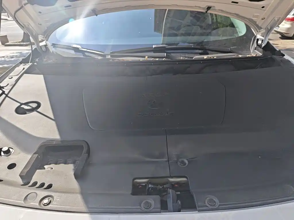 Venucia DaV DD-i 2023 2023 110km iE Edition