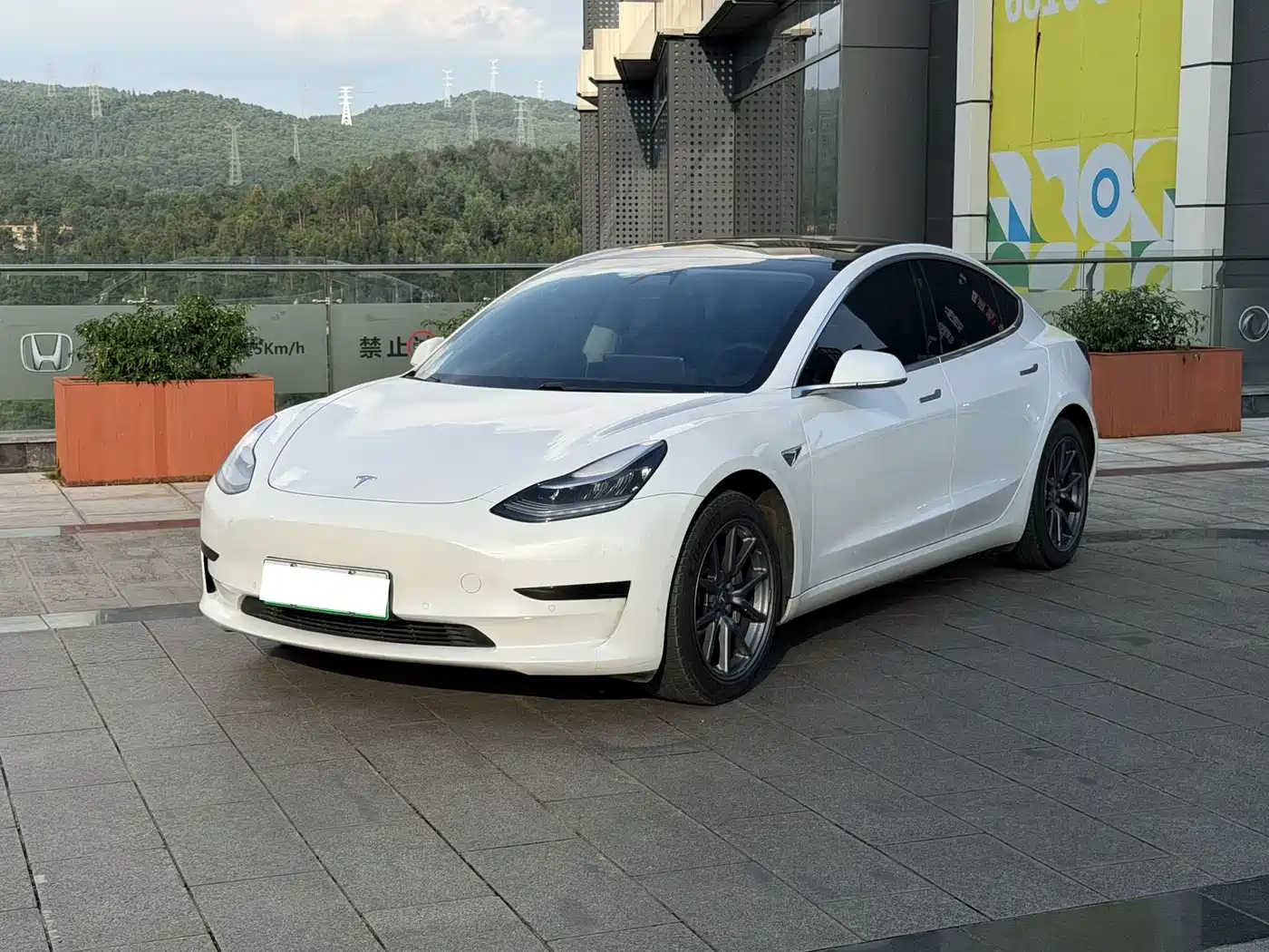 Tesla Model 3 2020
